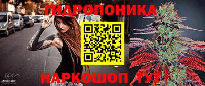 твердый Будённовск