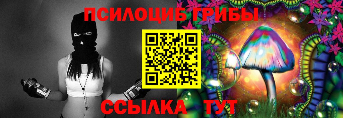 Галлюциногенные грибы Cubensis Прохладный